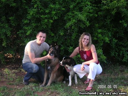 Border Collie Ganze Family Asta v Haus Henndorf u Georgina v Waltenweiler mit Frauchen u Herrchen Urlaub 2004