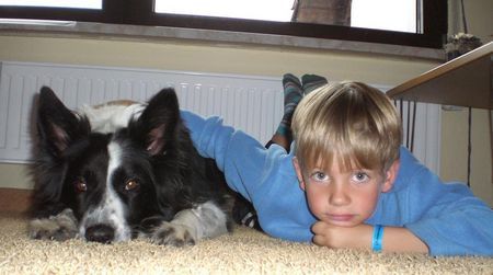 Border Collie mein bester freund