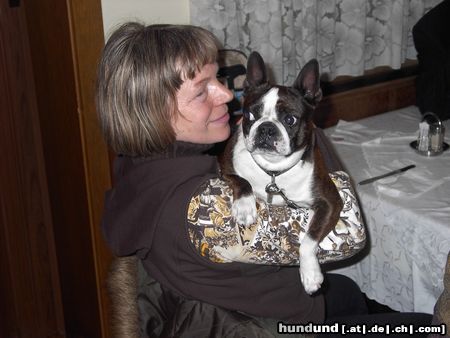 Boston Terrier Ruby mit Frauerl bei der IHA Wieselburg