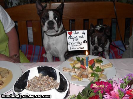 Boston Terrier Snoopy feierte seinen 1.Geburtstag im 3 Hauben Restaurant