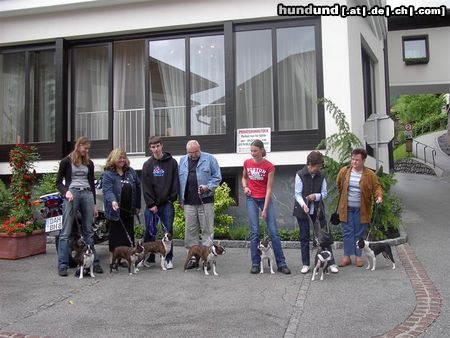 Boston Terrier Bossie-Familientreffen in Tirol