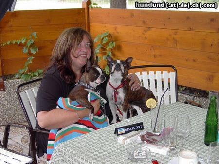 Boston Terrier Nicht nur der Tisch ist reserviert, sondern auch unsere Gaby und das, für Shirley u.Gipsy