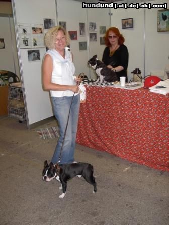 Boston Terrier Sam zu Besuch bei der EURODOG in Tulln