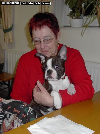 Boston Terrier Amber, mit Frauerl beim Heurigen