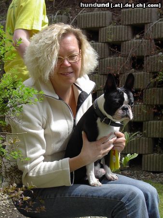 Boston Terrier Sam II war Gastgeber beim Bossie-Familientreffen 