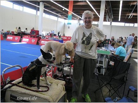 Boston Terrier Aurikel von der Reiteralm & Etienne-Willson de Paulae Villa