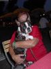 Boston Terrier Hund