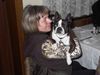 Boston Terrier Hund