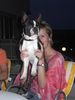 Boston Terrier Hund