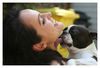 Boston Terrier Hund