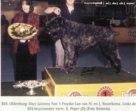 Bouvier des Flandres Ned.- Deutsche - Deutsche VDH Champ. - Bundes und Europa Sieger - Best in Show Oldenburg