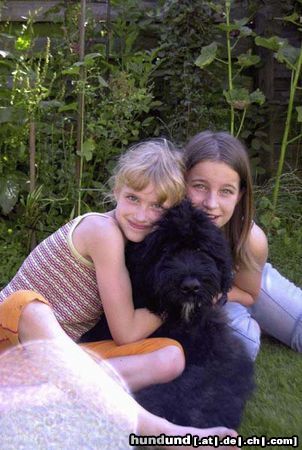 Bouvier des Flandres Kinderfreund