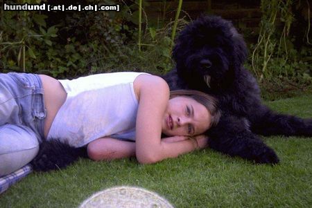 Bouvier des Flandres Kinderfreund