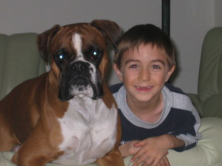 Boxer Rocky mit seimem 