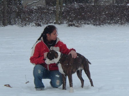 Boxer Diabo und ich