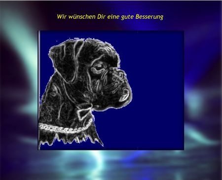 Boxer Boxergruß