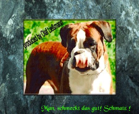 Boxer Man, schmeckt das gut ! Schmatz!