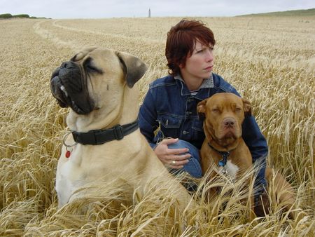 Bullmastiff So groß und wuchtig  kann ein Bullmastiff-Rüde werden...wachsam und Gott sei Dank sehr sanftmütig!