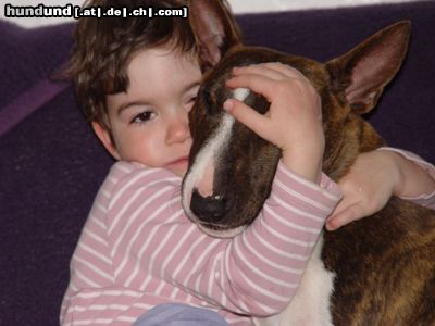 Bullterrier ..zwei Herzchen!