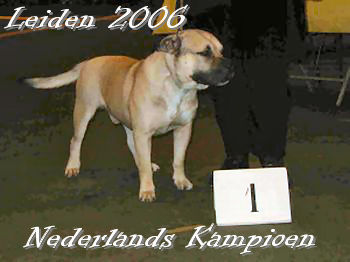 Ca de Bou Champion of Holland 