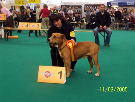 Ca de Bou Ch K-2 de Almallutx  WINNER 2005 Amsterdam