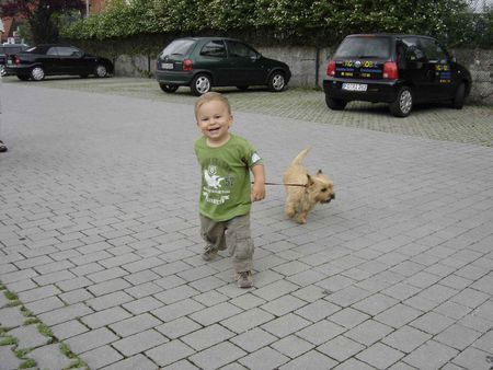 Cairn-Terrier Jetzt gehe ICH gassi