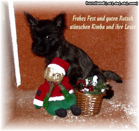 Cairn-Terrier Frohes Fest