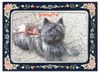 Cairn-Terrier Hund