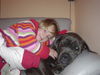 Cane Corso Hund