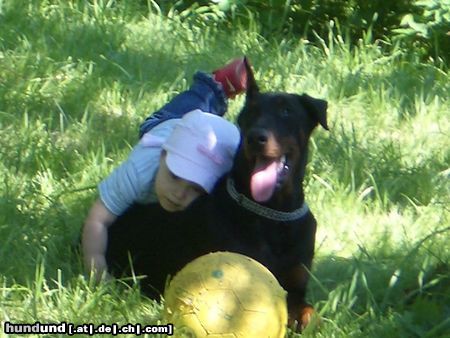 Dobermann Hallo ich bin Ginger,und auf Cheyenne pass ich auf