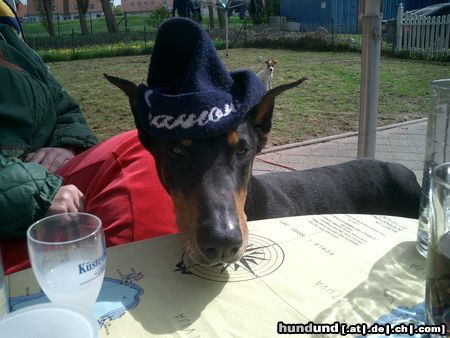 Dobermann sch.....Herrentag !