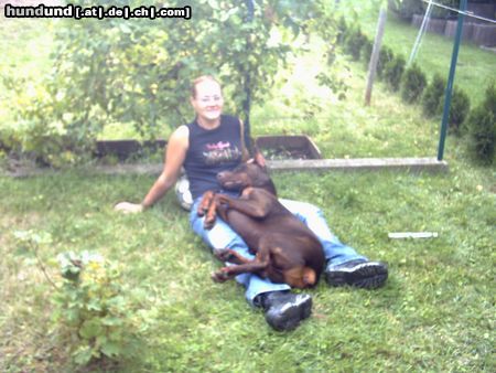 Dobermann Fußball spielen ist echt anstrengend