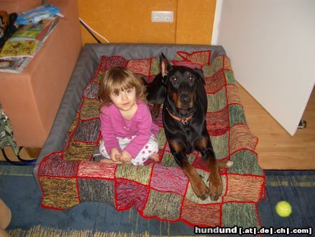 Dobermann meine schätze