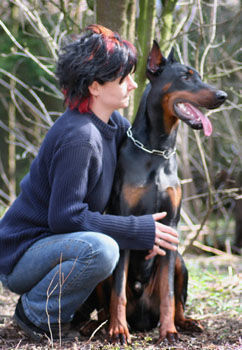 Dobermann mylord und ich