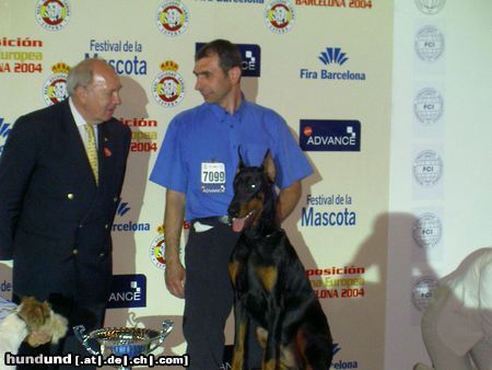 Dobermann ALPHA BEST of MILANO 8 Monate alt, CACIB Salzburg 2004: Best Dobermann Puppy und BEST PUPPY (BIS) of CACIB SALZBURG 2004 EURO DOG SHOW 2004: Best Dobermann Puppy, Best Puppy of Second Group und BEST PUPPY OF EURO DOG SHOW BARCELONA 2004