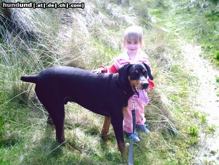 Dobermann Mikey und Jil