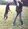 Dobermann Hund