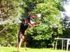 Dobermann Hund