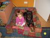 Dobermann Hund