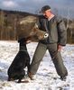 Dobermann Hund