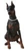 Dobermann Hund