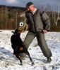 Dobermann Hund