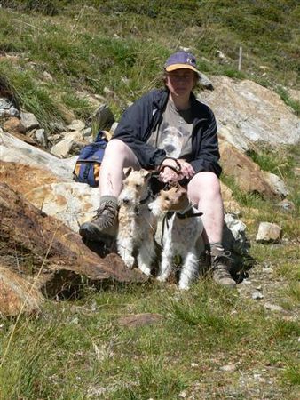 Foxterrier Drahthaar Zusammen in den schonen bergwelt  der Dolomiten Italie 