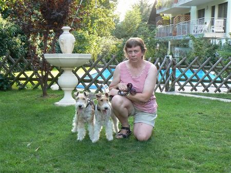 Foxterrier Drahthaar Zusammen in den schonen  garten I