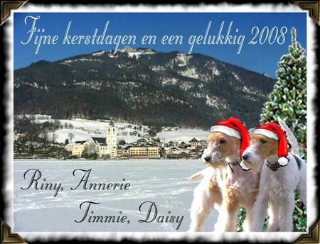 Foxterrier Drahthaar Wir wunschen alle frohe weihnachten und ein gutes  neues jahr ! Timmie und Daisy !