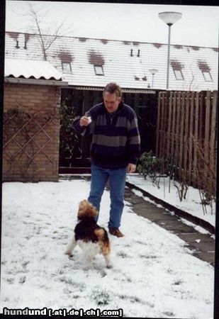 Foxterrier Drahthaar Wir beiden finden es schon im schnee zu spielen mit ein ander !