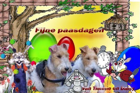 Foxterrier Drahthaar wir wunschen alle eine schone osterzeit ! Timmie und Daisy !