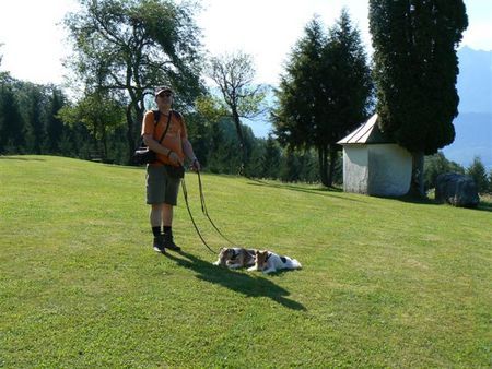 Foxterrier Drahthaar wir beiden in die schone bergen fon Osterreich