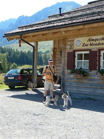 Foxterrier Drahthaar zusammen in die dschone bergen hinein 