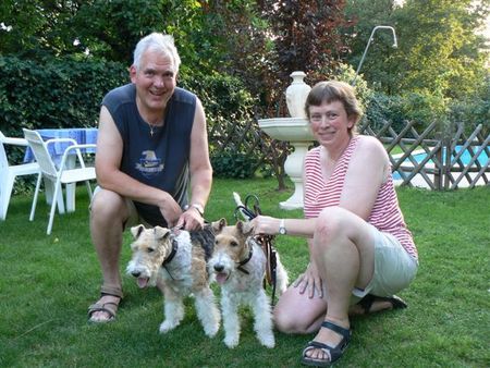 Foxterrier Drahthaar Zusammen mit Timmie und Daisy in den schonen garten 